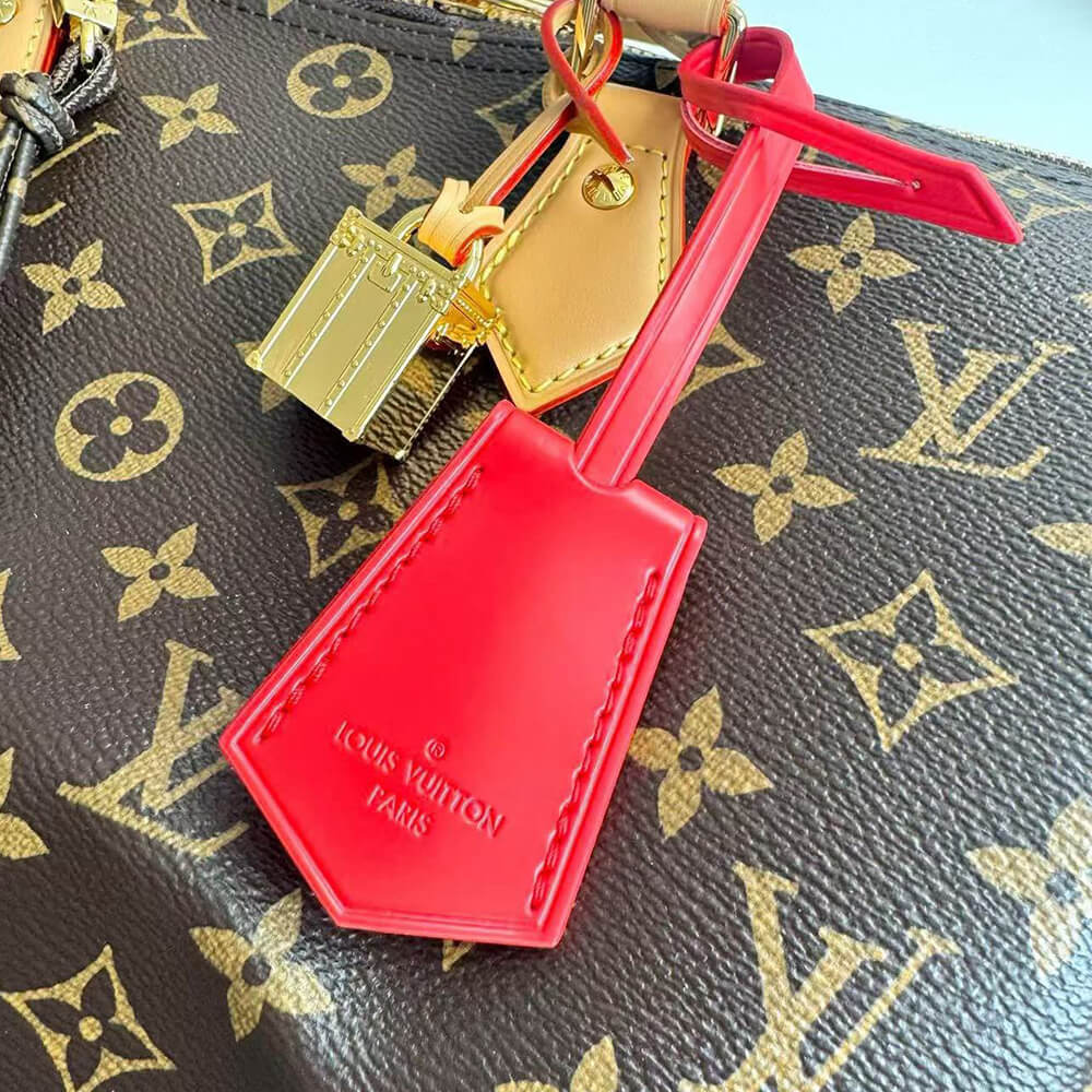 LV Speedy Soft 30 Crafty - Top Club