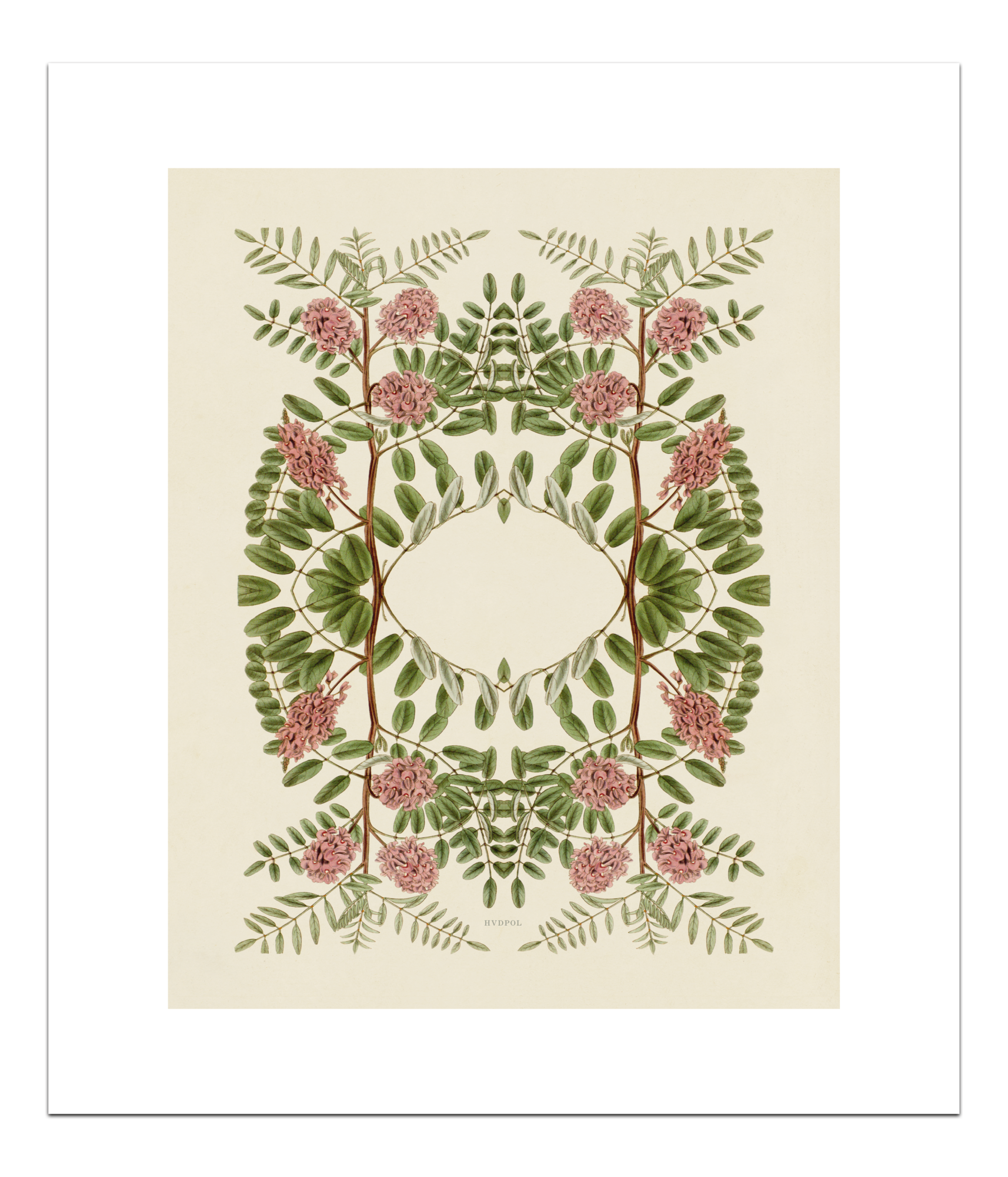 Poster Pink flower 40 x 50 cm
