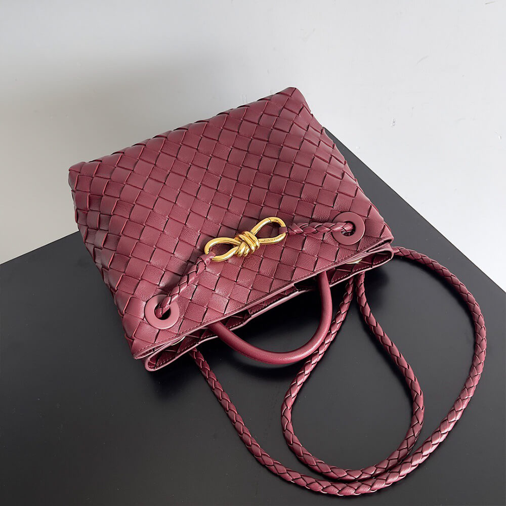 Bottega Veneta Small Andiamo - Top Club