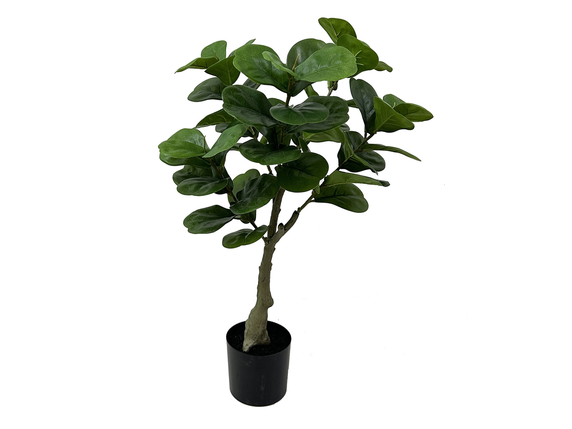 Artificial plant Ficus