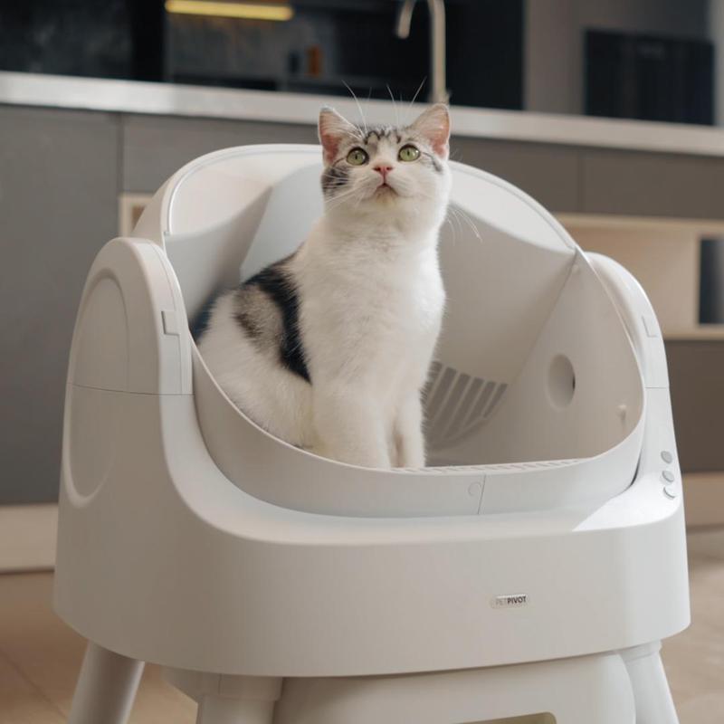 PetPivot AutoScooper Box