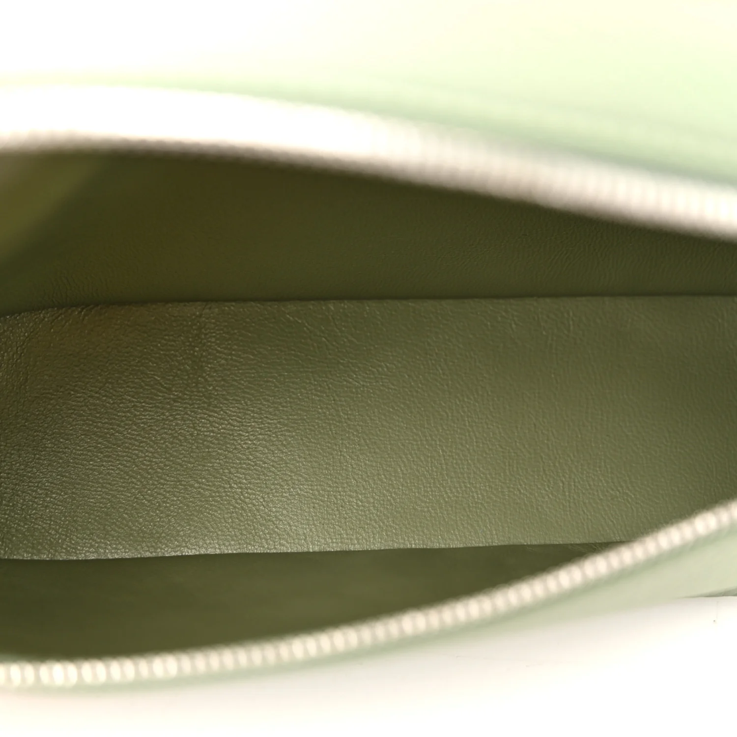 Grained Calfskin L19 Extra Pocket Pouch Sage Brush Leaves - Top Club