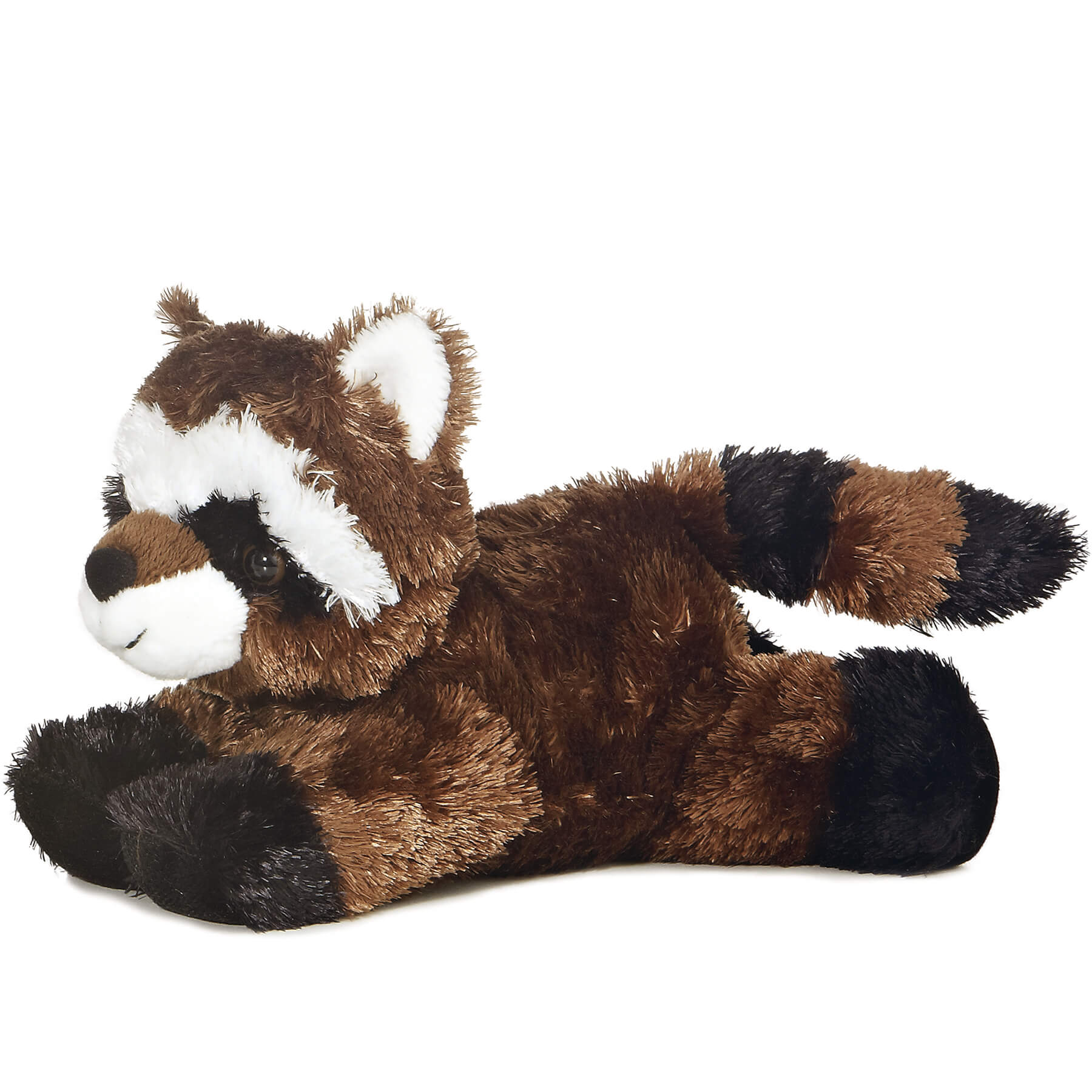 Ringo Raccoon 8