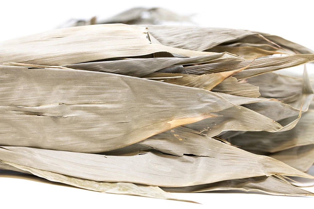 Bamboo Leaves