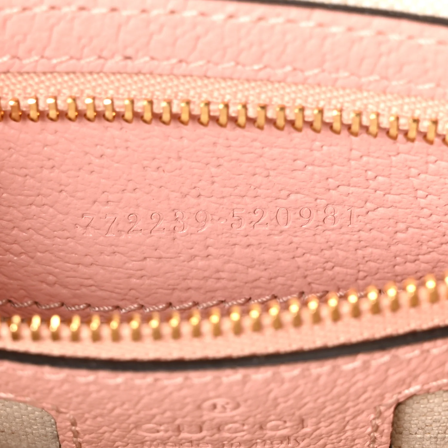 GG Supreme Monogram Textured Dollar Calfskin Mini Ophidia Flap Shoulder Bag Rose Pink - Top Club