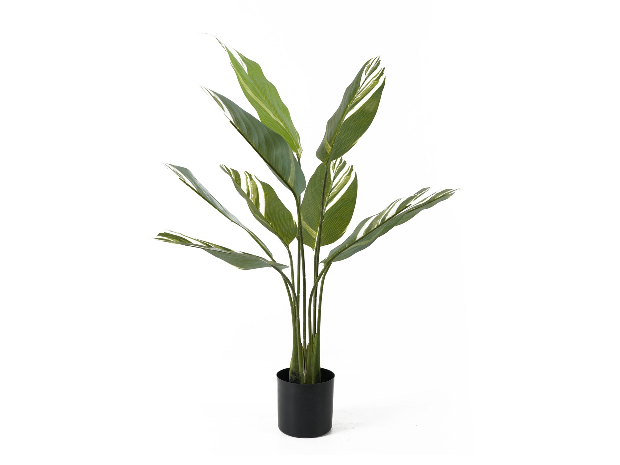 Artificial plant Calathea green w. white
