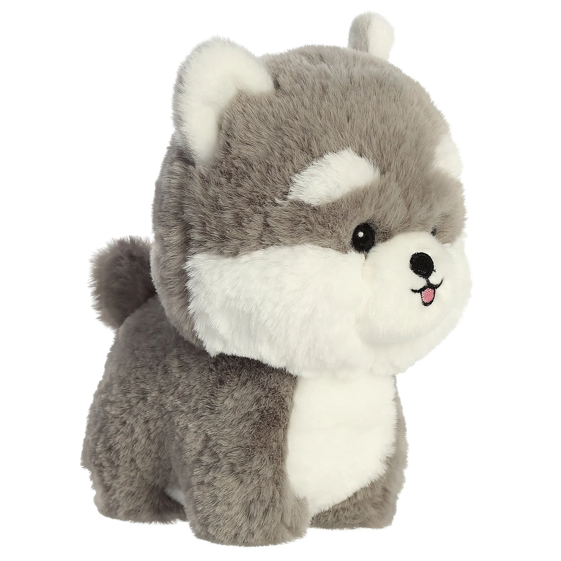 Husky Dog Puppy 7