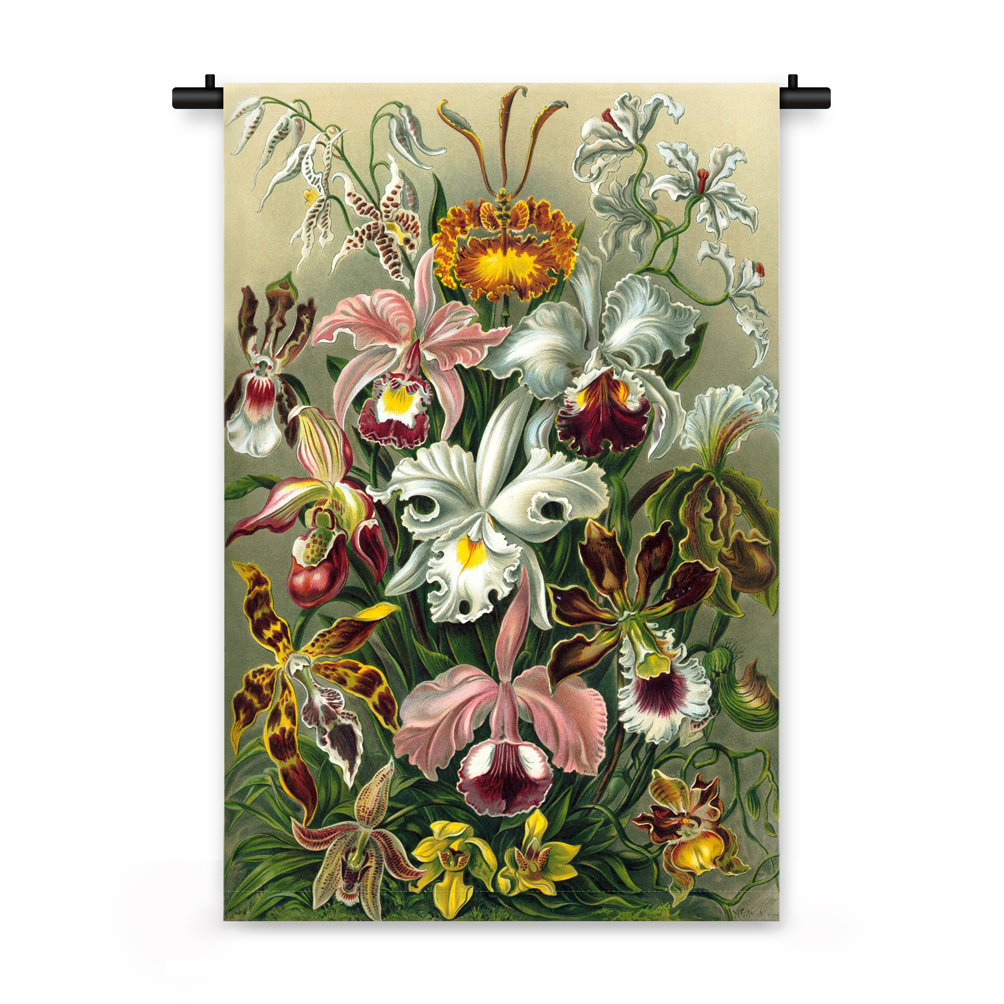 Wandkleed Illustratie van exotische bloemen 210 x 150 cm