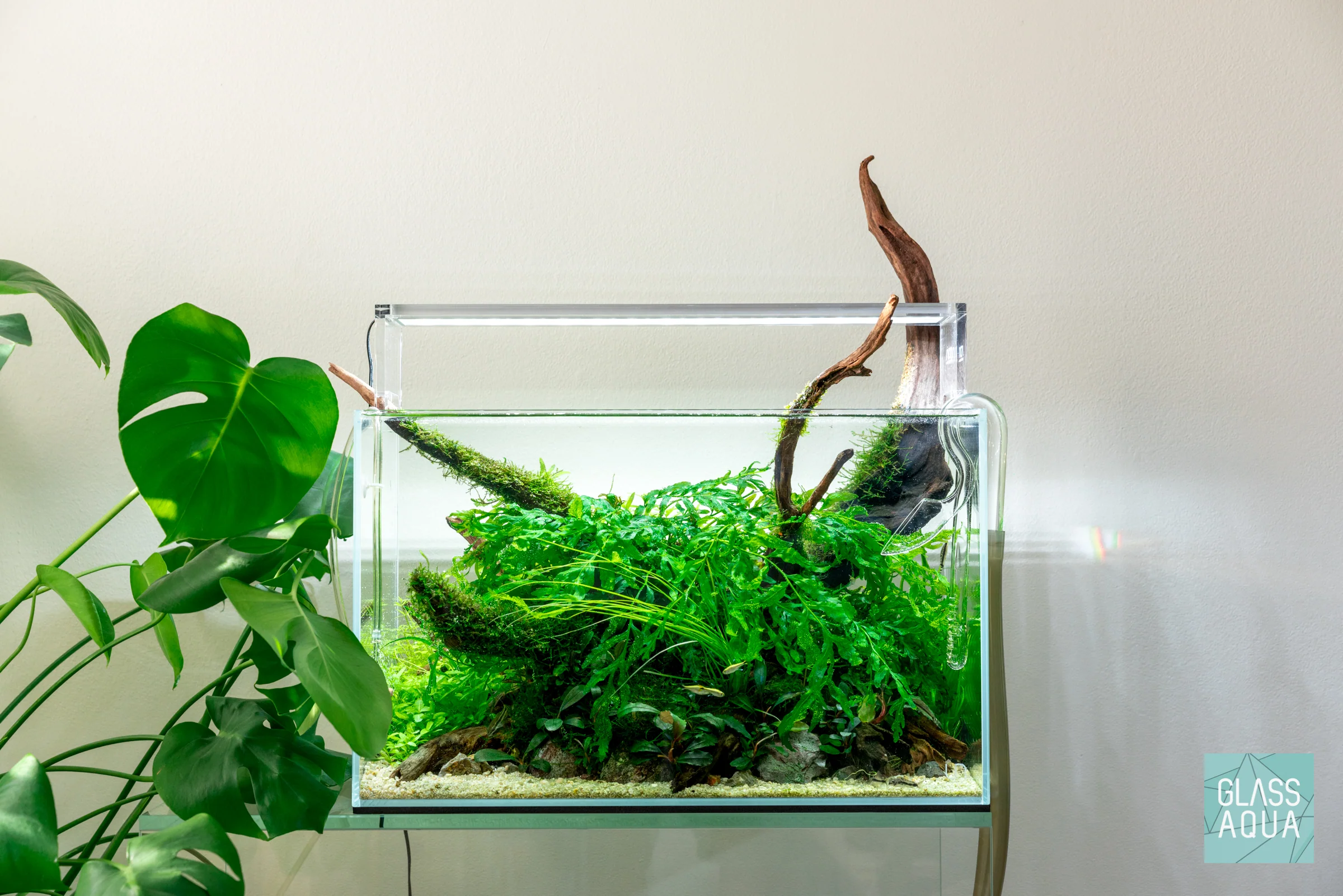 Build Your Own Aquarium Kit - Standard Tank