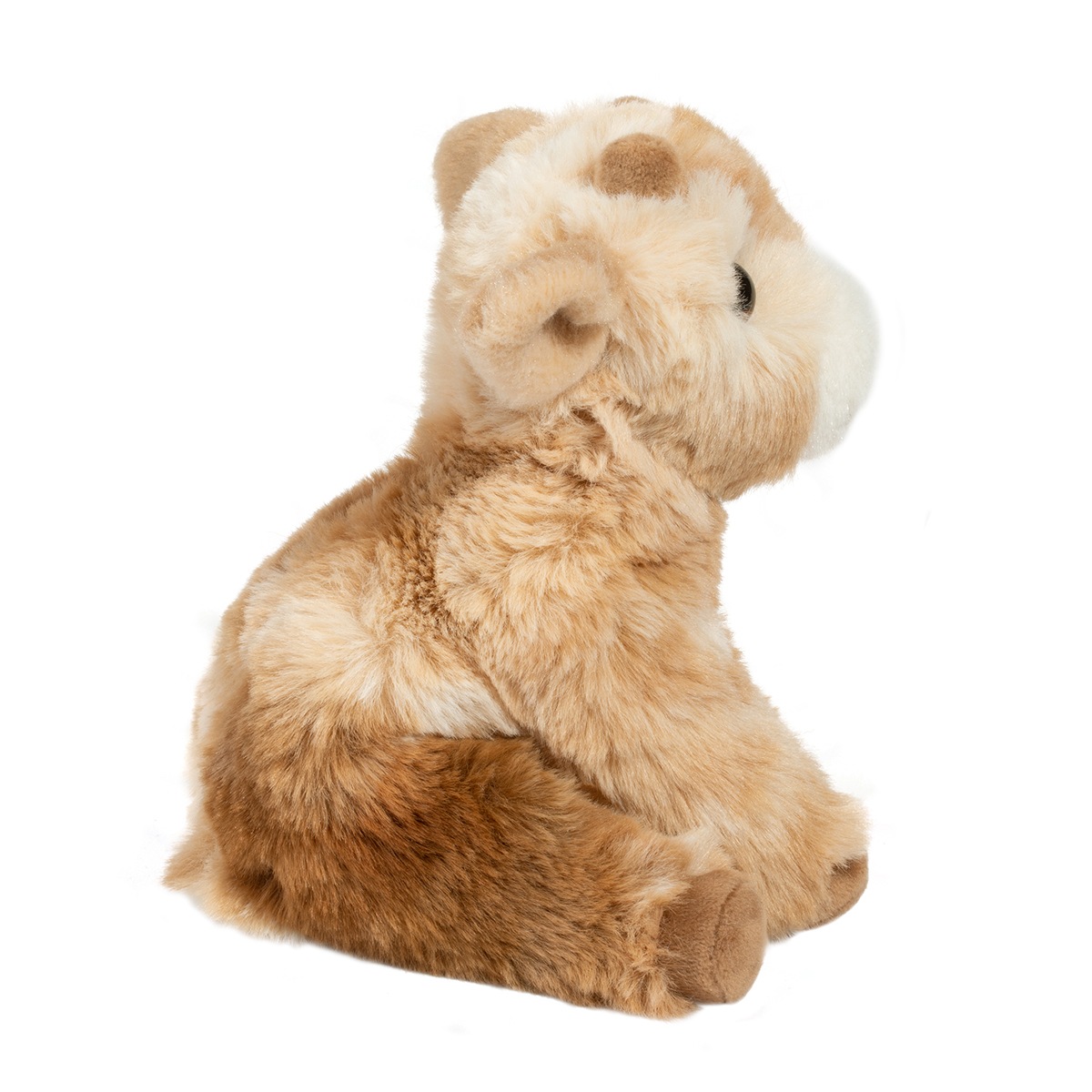 Mini Dandie Soft Goat