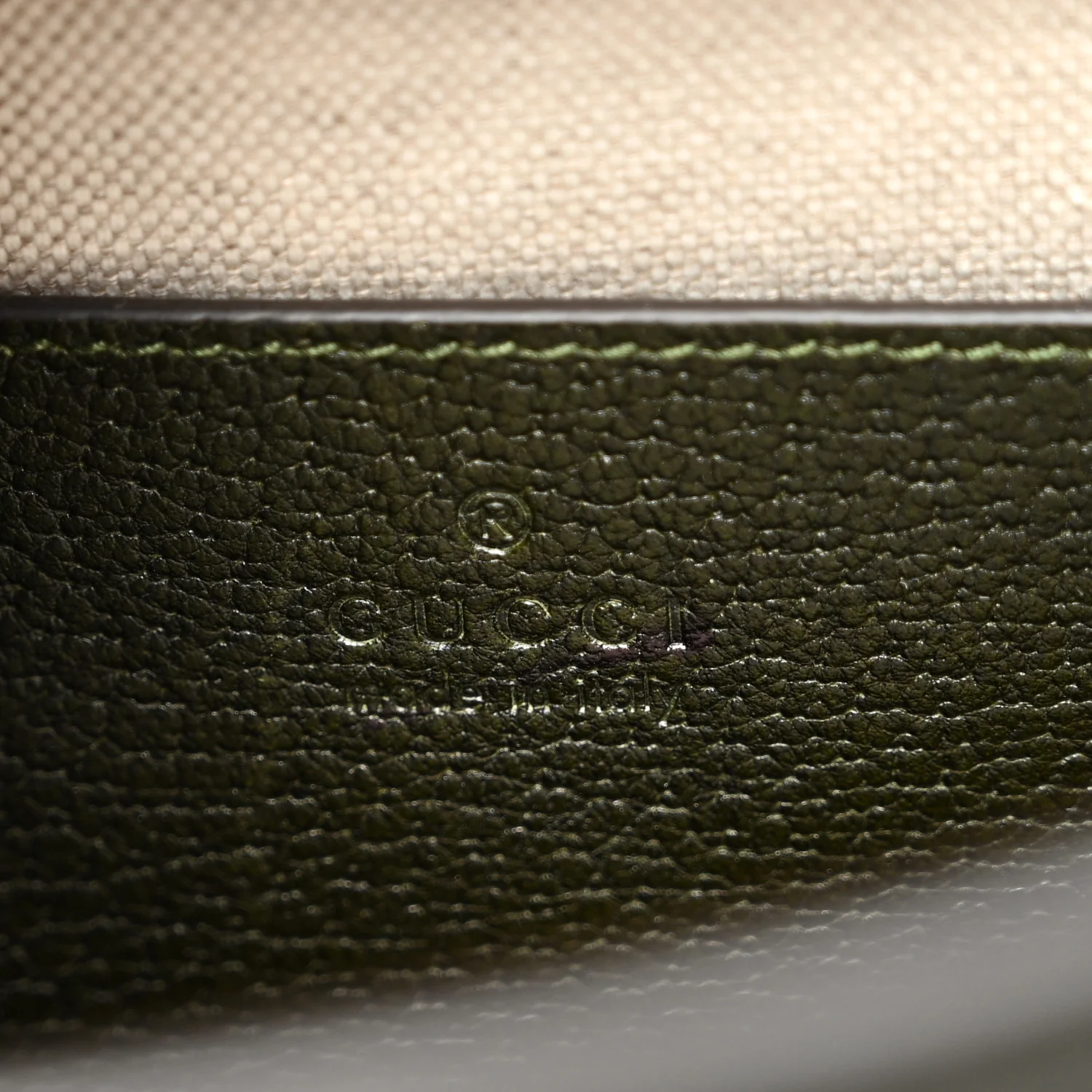 Textured Dollar Calfskin Web Small Diana Tote Bag Green Ombre - Top Club