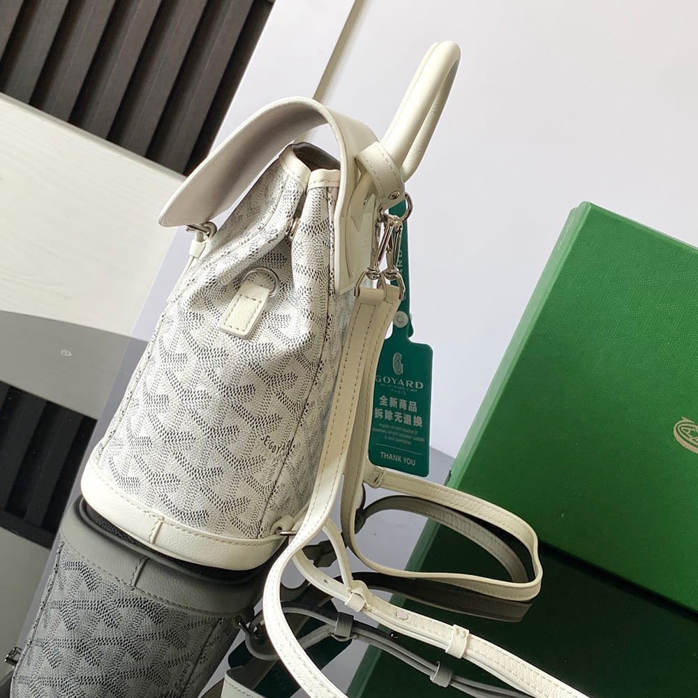 Goyard Alpin Mini Backpack - Top Club