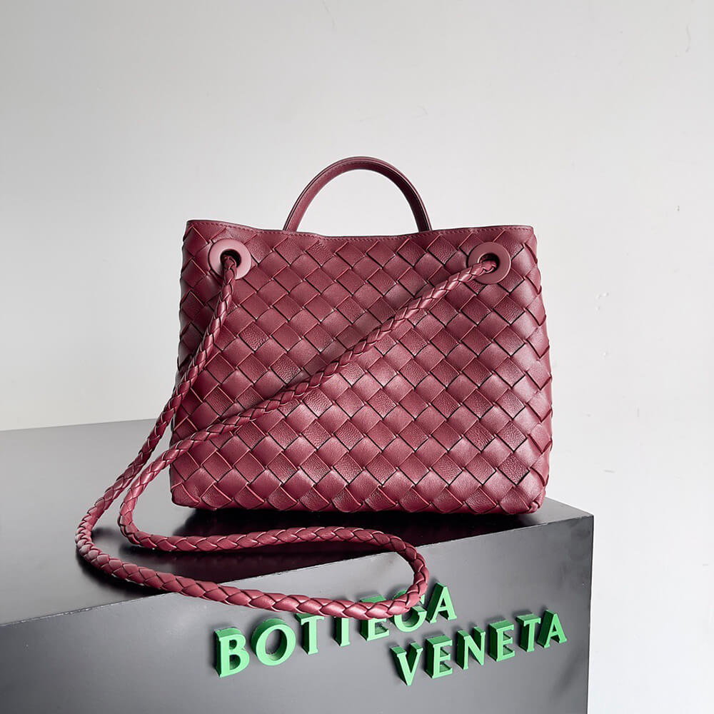 Bottega Veneta Small Andiamo - Top Club