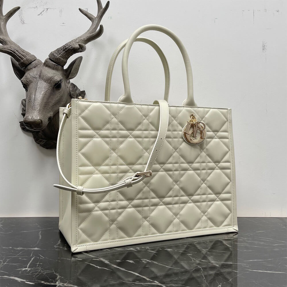 Dior Medium Dior Book Tote - Top Club