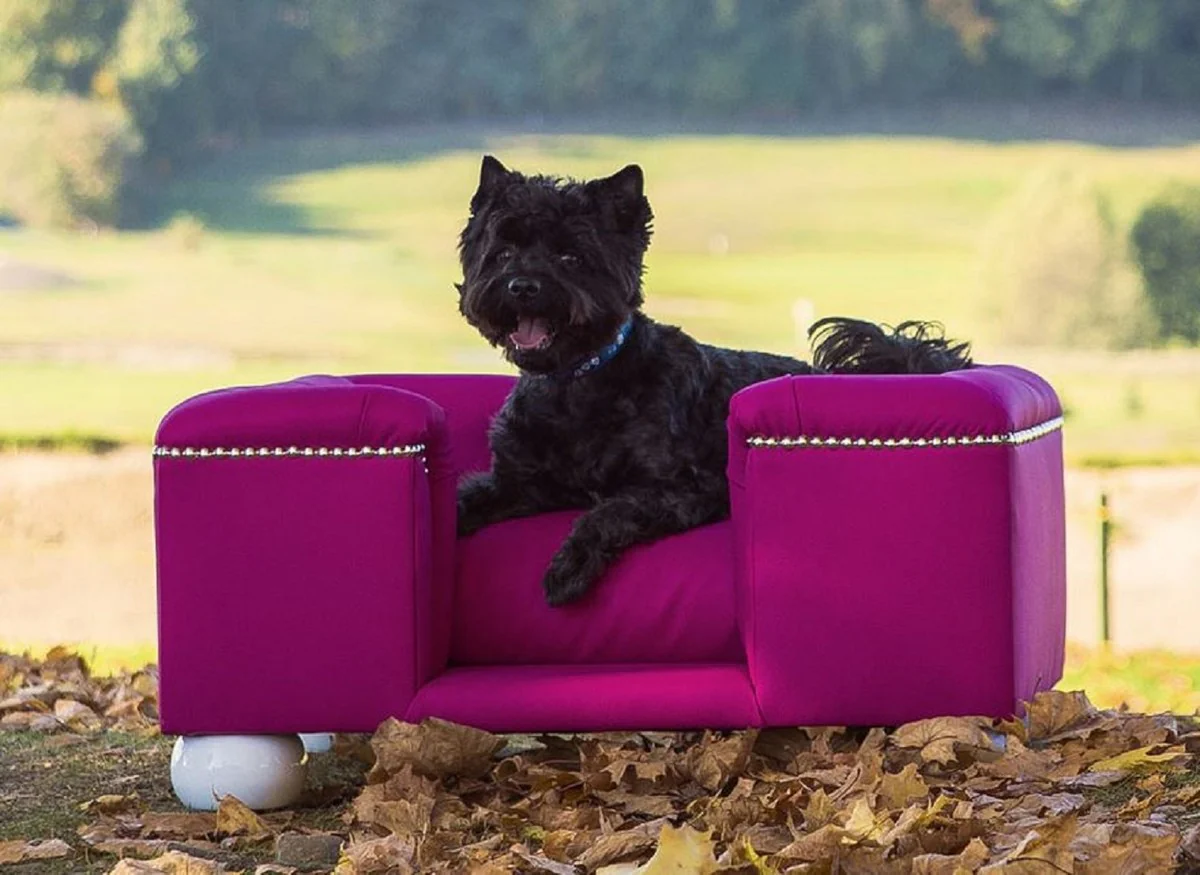 Luxury dog ​​bed purple / white / purple 80 x 65 x H. 37 cm - Modern rectangular dog bed with cushions - Luxury dog ​​furniture - Luxury pet furniture