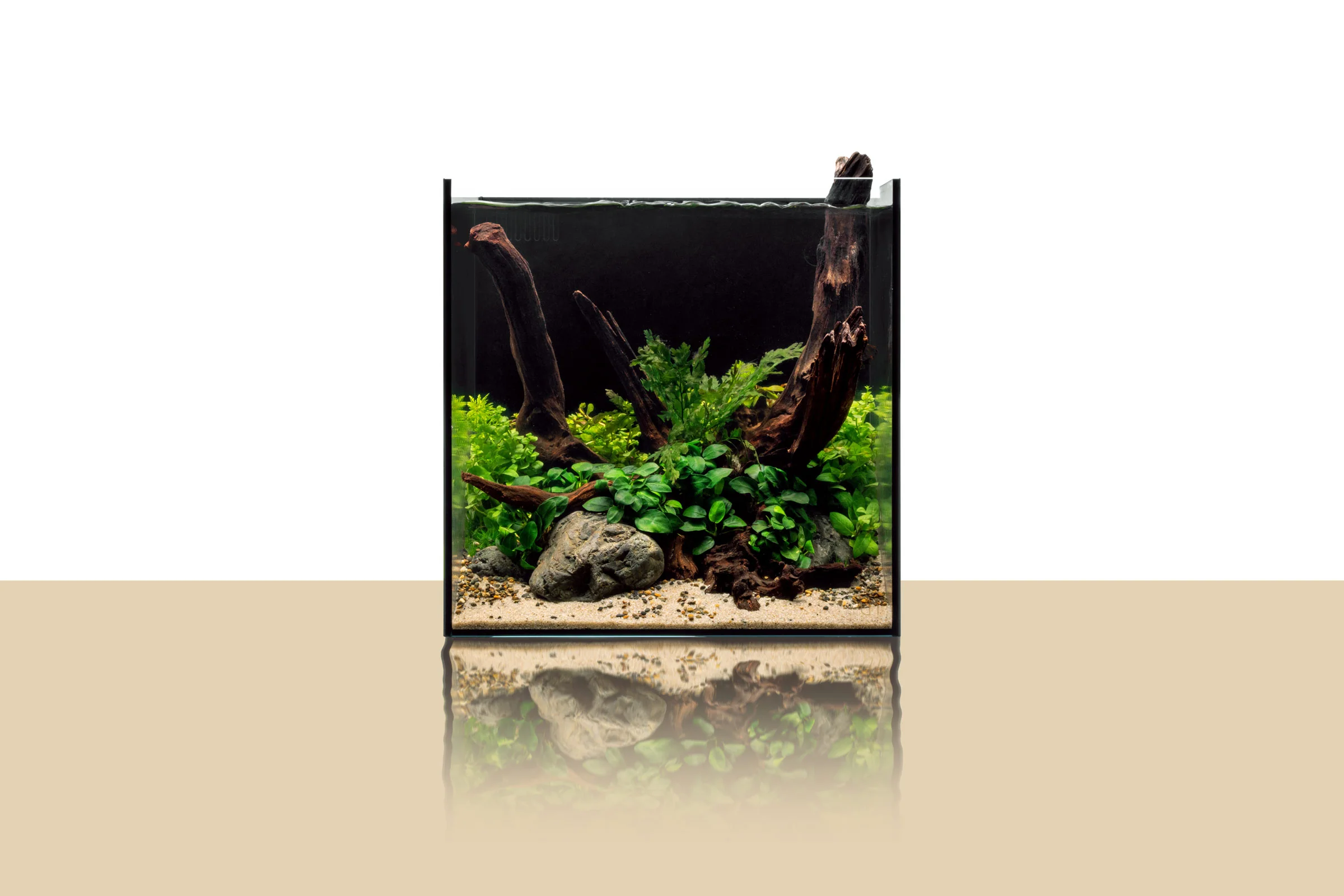 UNS Dual All-In-One Glass Aquarium Tank
