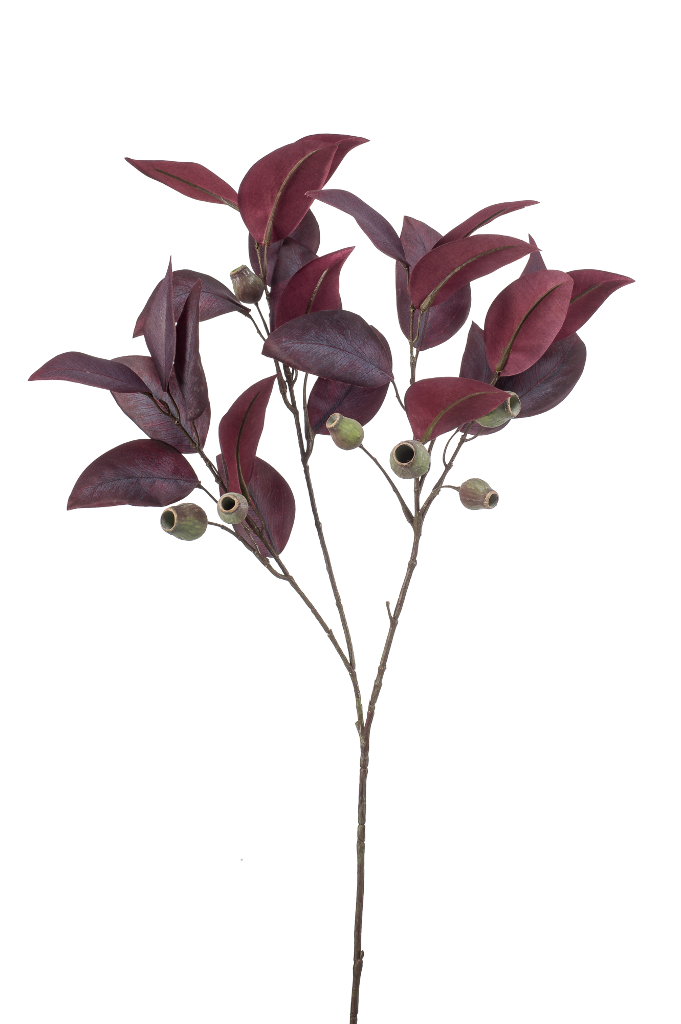 Eucalyptus spray burgundy