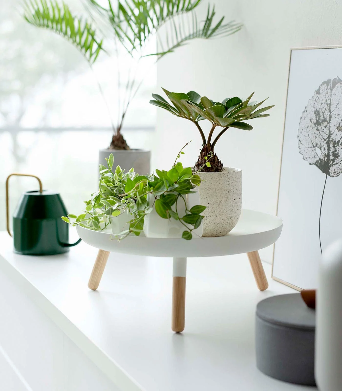 Countertop Pedestal Tray (5
