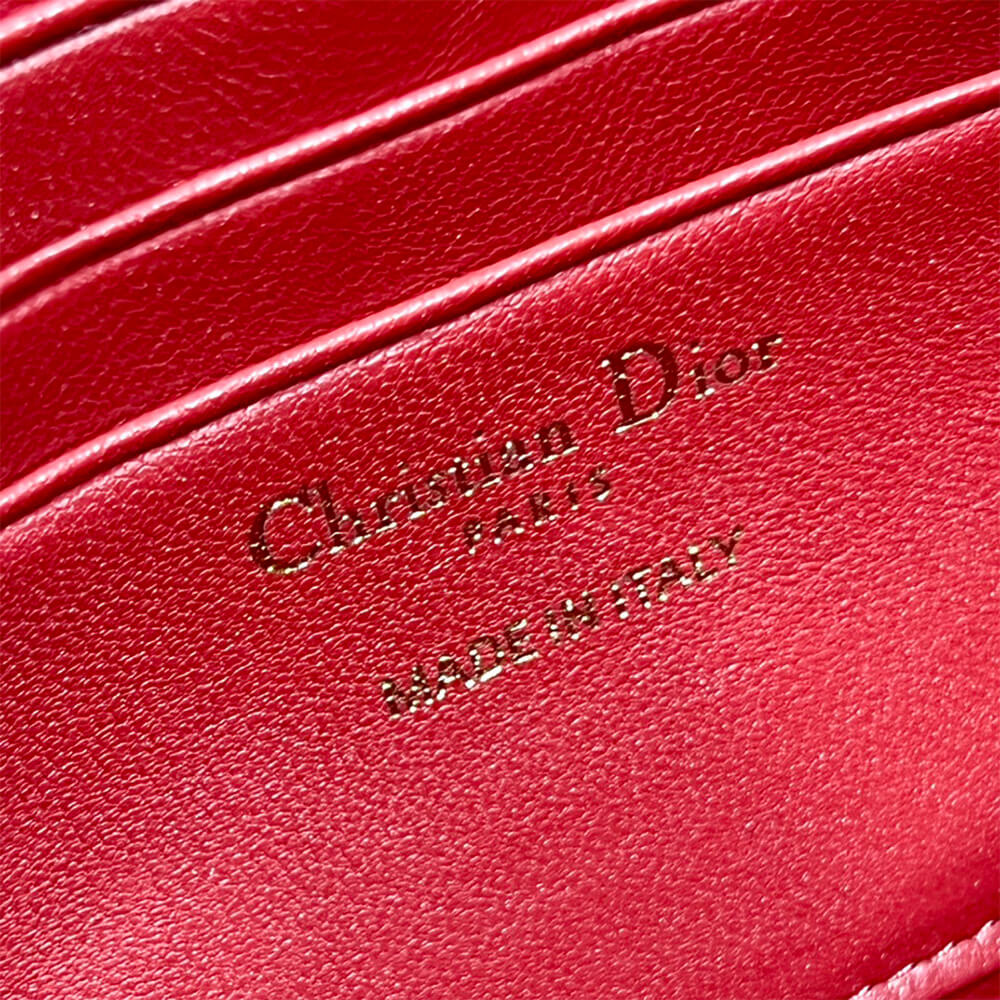 MISS DIOR MINI BAG - Top Club