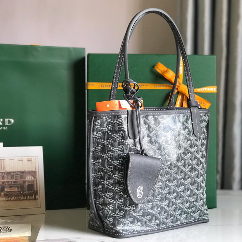 Goyard Anjou Mini Bag - Top Club