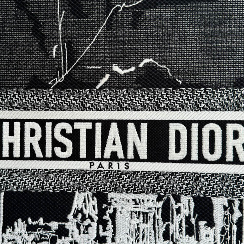 Medium Dior Book Tote - Top Club