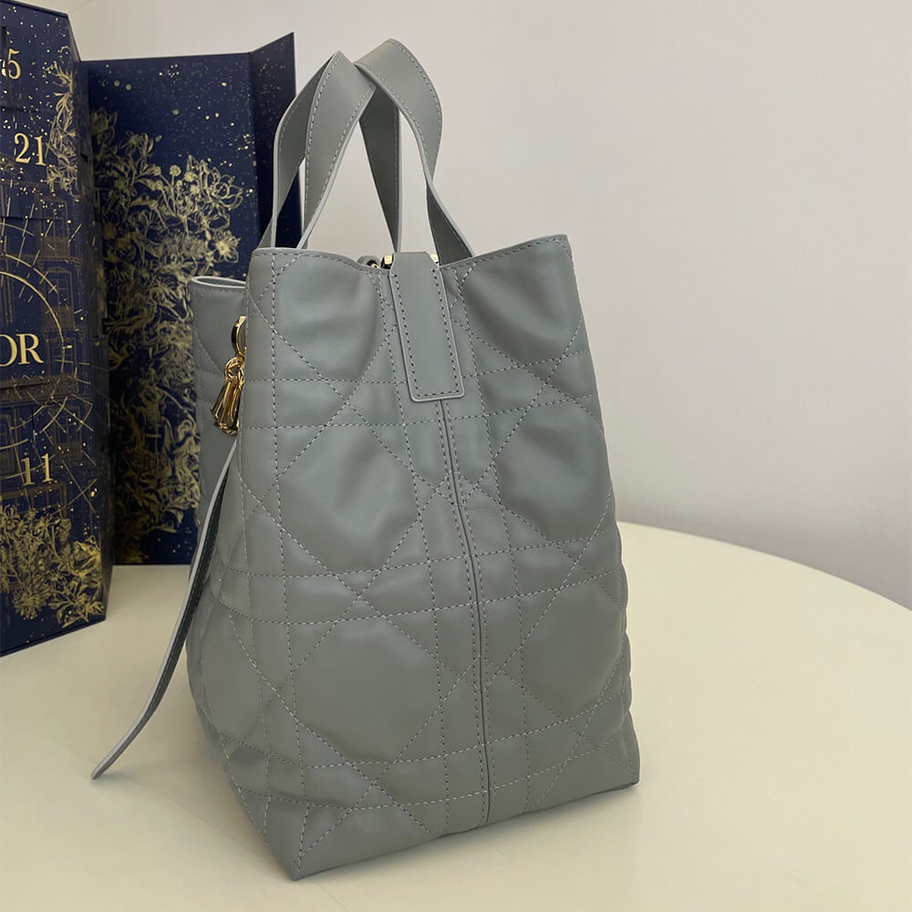 Medium Dior Toujours Vertical Tote Bag(high-end grade) - Top Club
