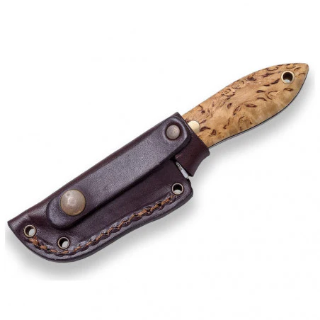 Joker Halsmesser BS9 Wasp Scandi curly birch - Buschcraft neck knife