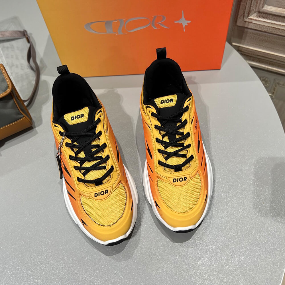 DIOR  B44 Blade Sneaker - Top Club