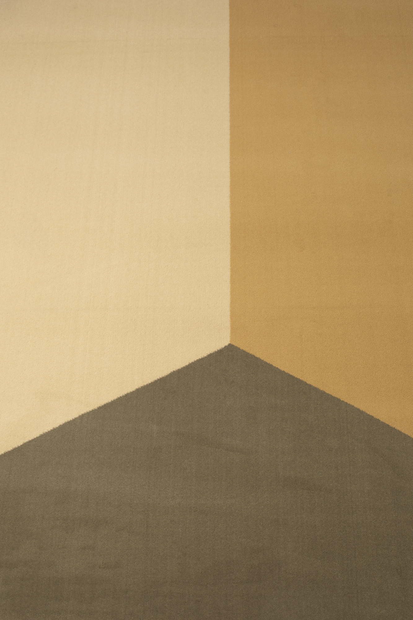 Vloerkleed Harmony 160x230 bruin