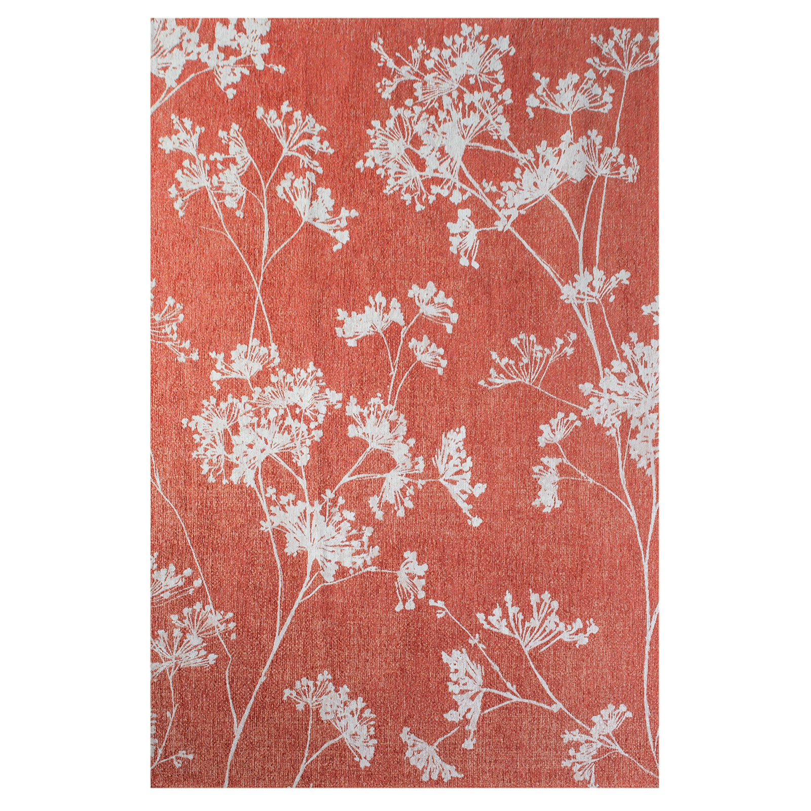 9555-PARSLEY-INFLORESCENCE-240x340cm