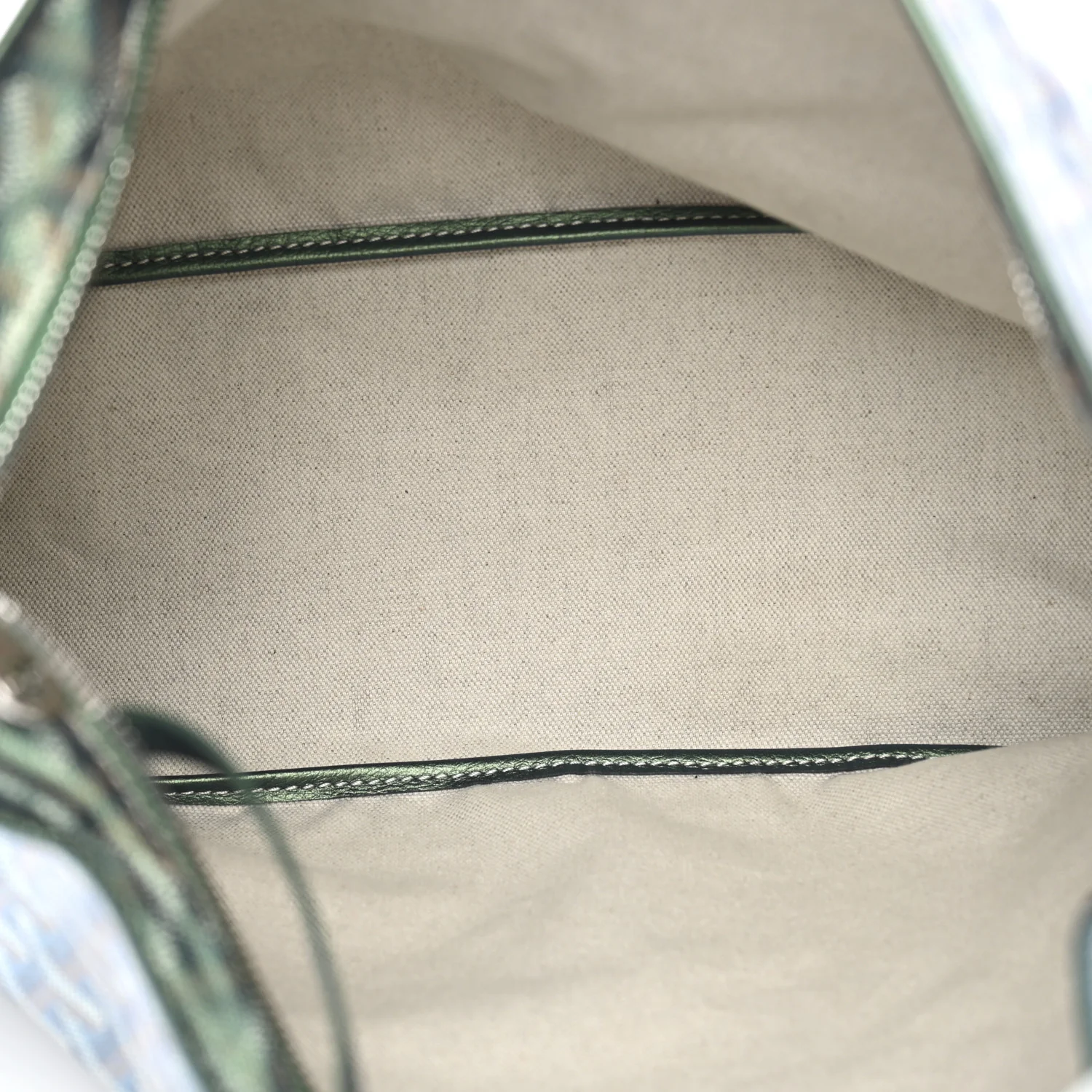 Iridescent Goyardine Boheme Hobo Pearly Green - Top Club