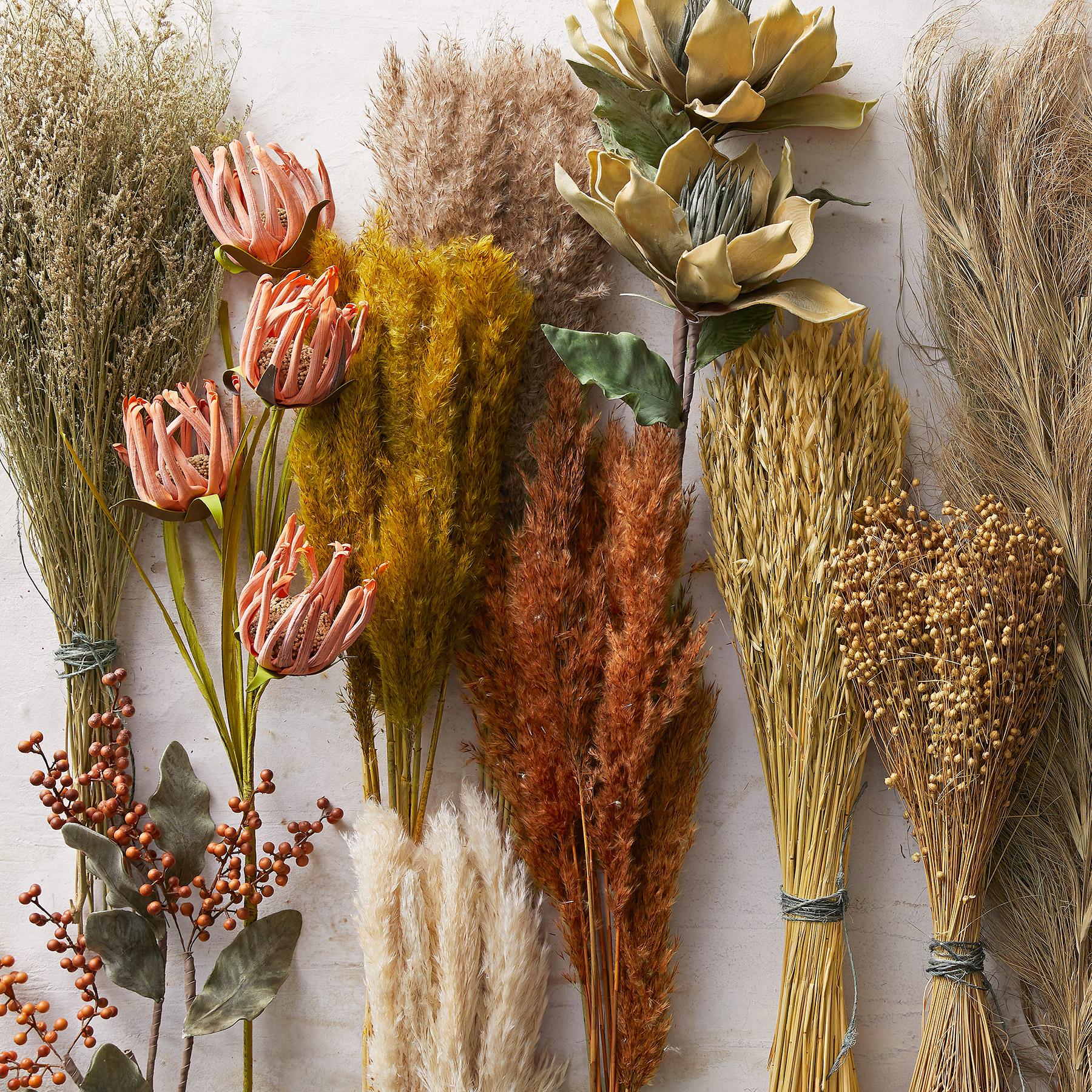 Countryside Dried Botanics - Sundance Living