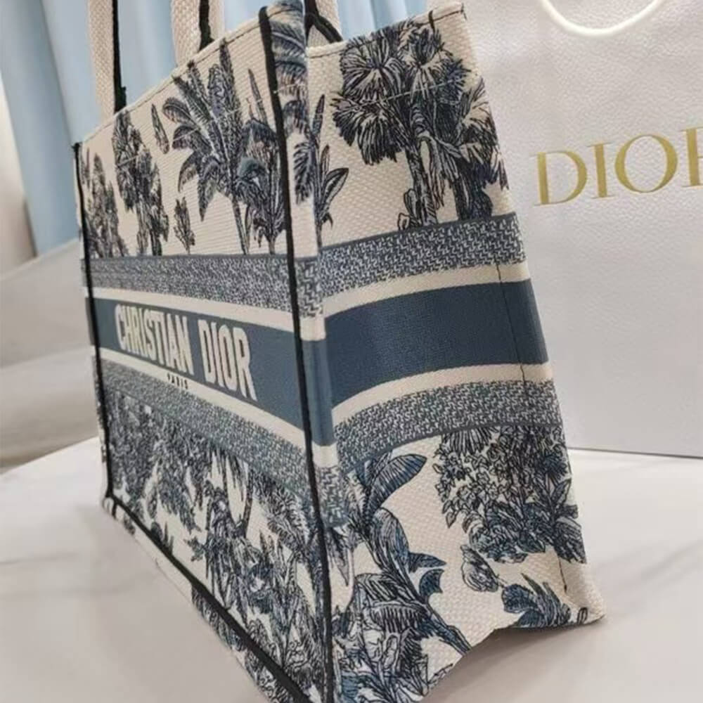 Medium Dior Book Tote - Top Club