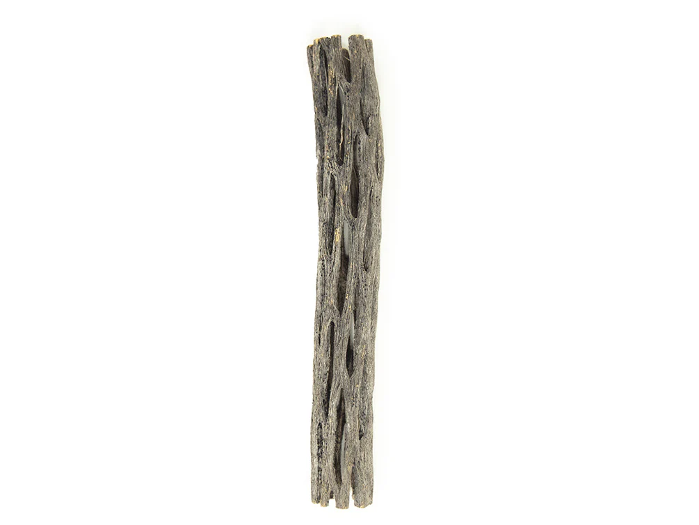Buckhorn Cholla Wood