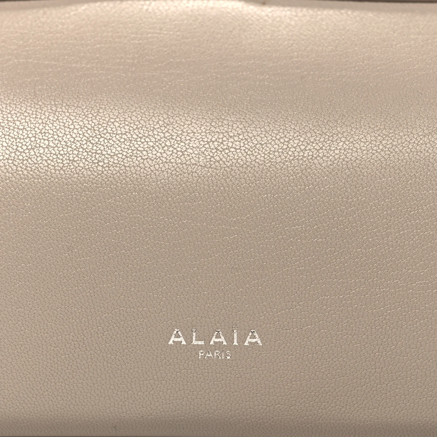 Shiny Goatskin Medium Le Teckel Bag Grege - Top Club