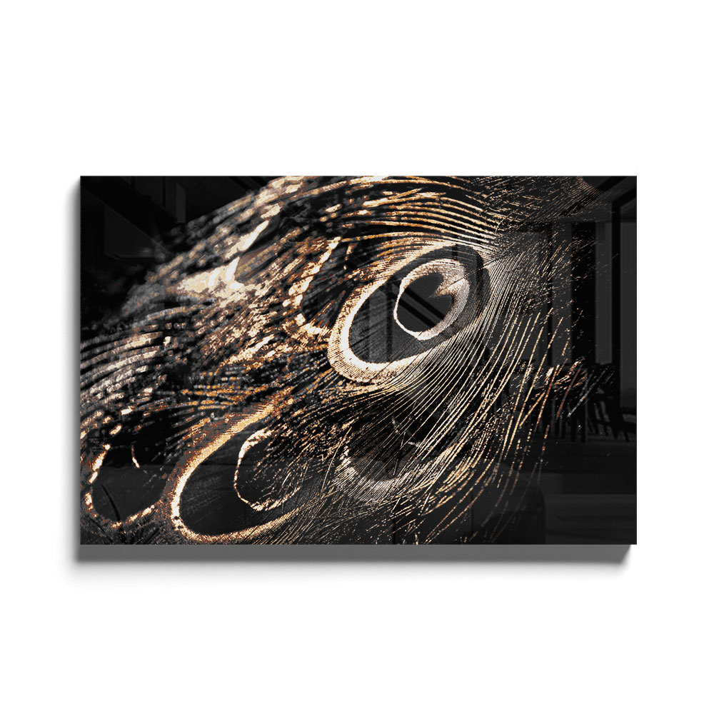 Walljar acrylglas schilderij - Peacock Feathers Acrylglas schilderij - 150 x 225 cm