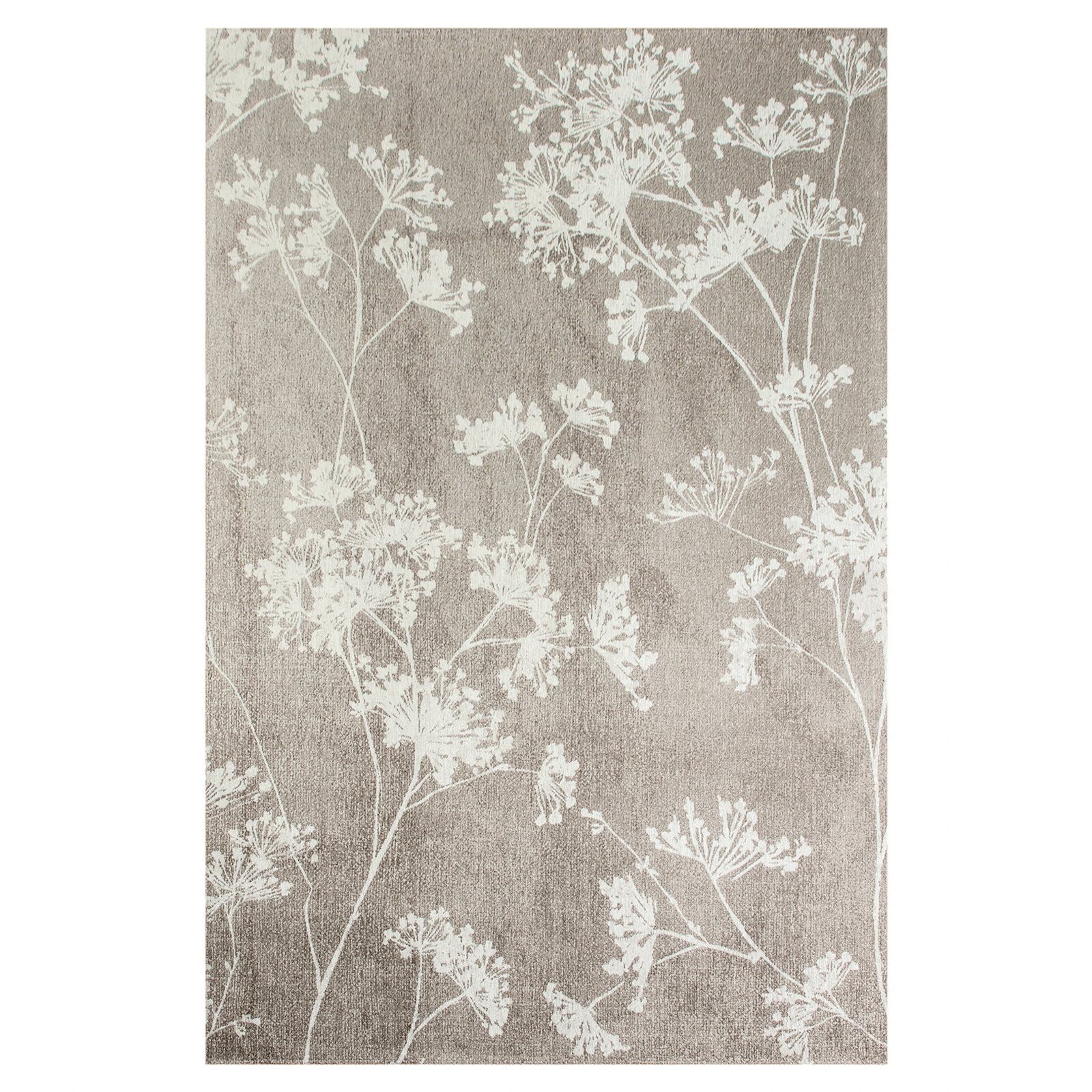 9558-PARSLEY-PARCHMENT-240x340cm