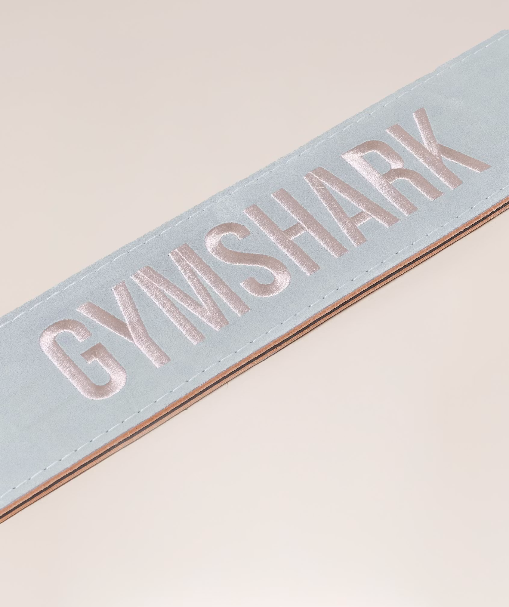 COACH Lever Lifting Belt