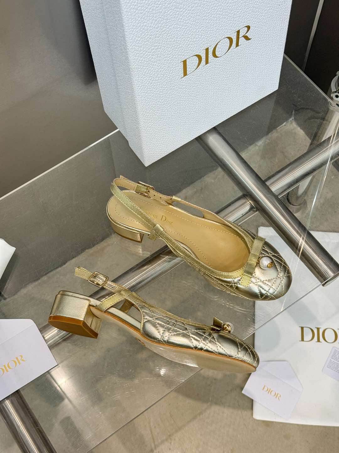Dior Ballet Slingback Pump - Top Club