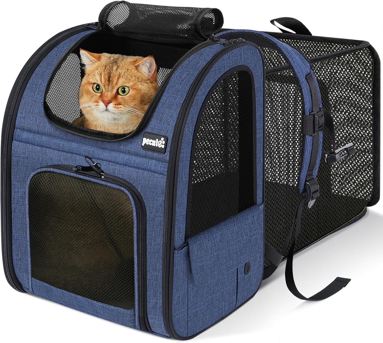 Pecute Cat Backpack Carrier Expandable - Blue
