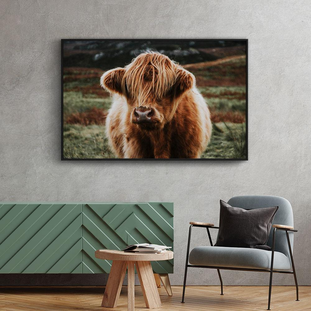 Walljar canvas schilderij - Schotse Hooglander Canvas schilderij - 120 x 180 cm