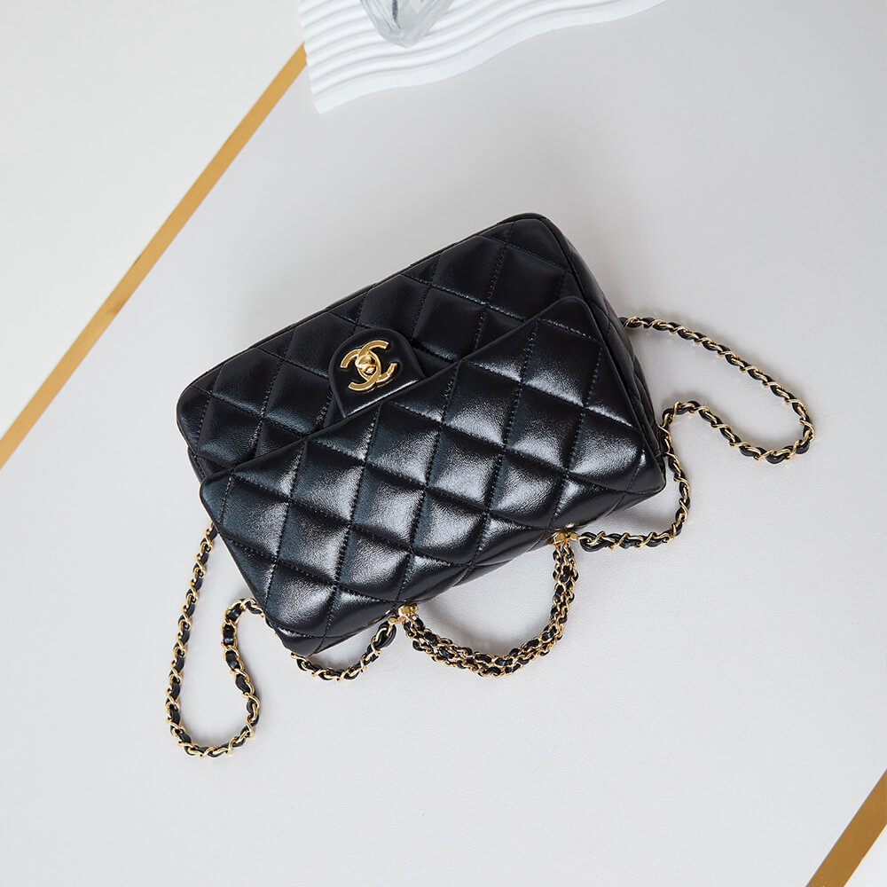 CHANEL Flap Bag with Top Handle - Top Club