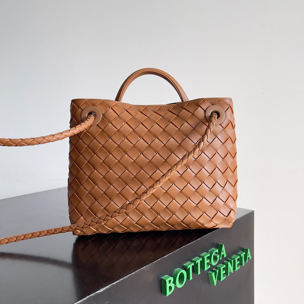 Bottega Veneta Small Andiamo - Top Club