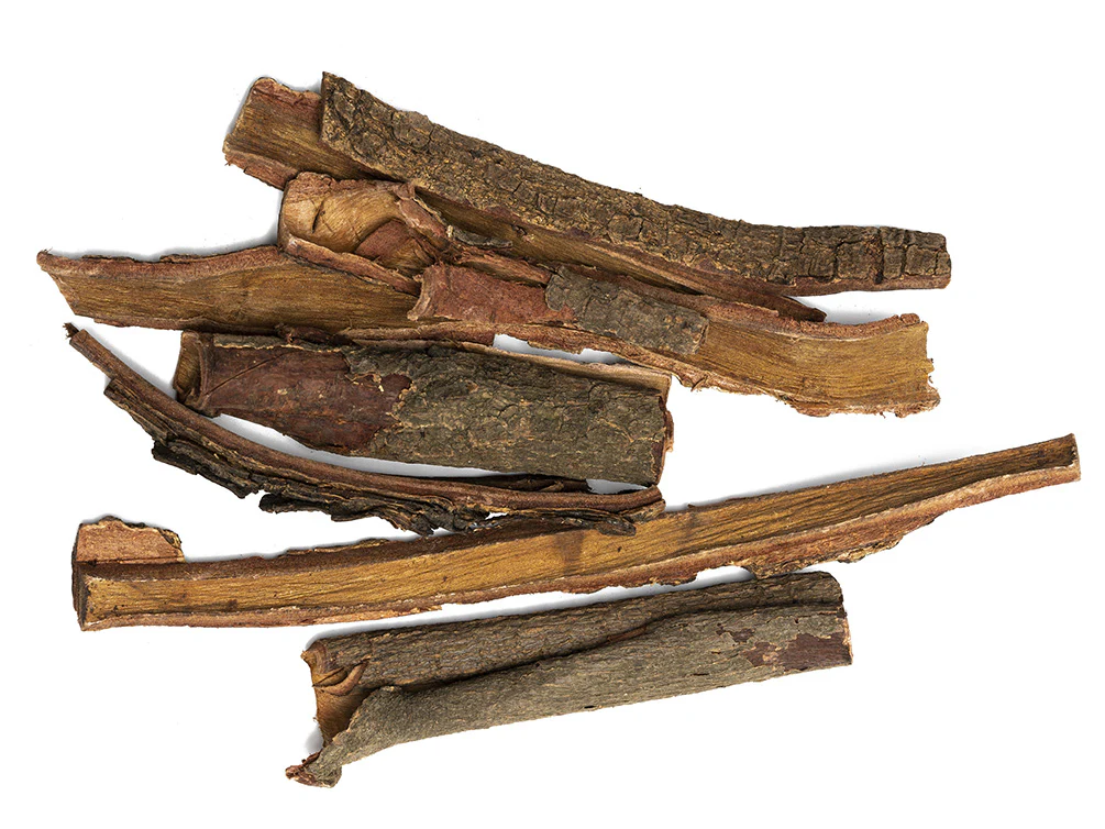 Catappa Bark