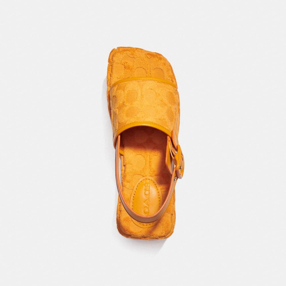 COACH Coach Fashion Shoes