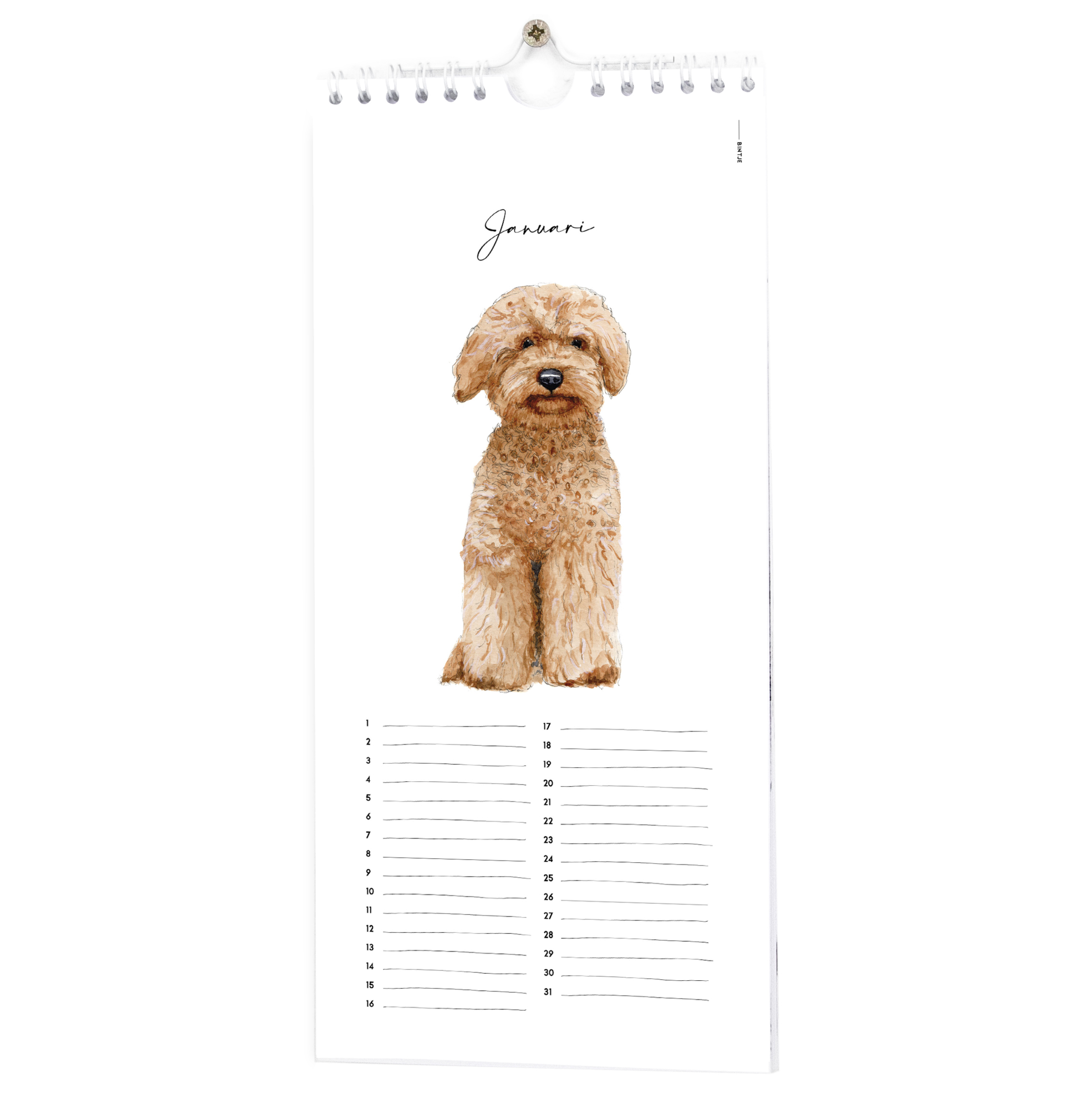 Verjaardagskalender Bintje dieren Kalender Bintje DierenKalender Bintje dieren