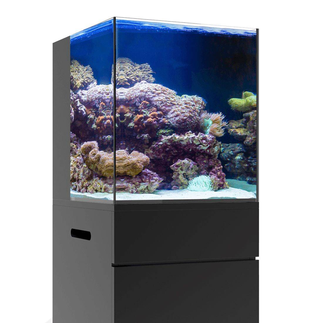 JBJ Aquarium - NANO RIMLESS - 10/15/20 GALLON ALL IN ONE TANK