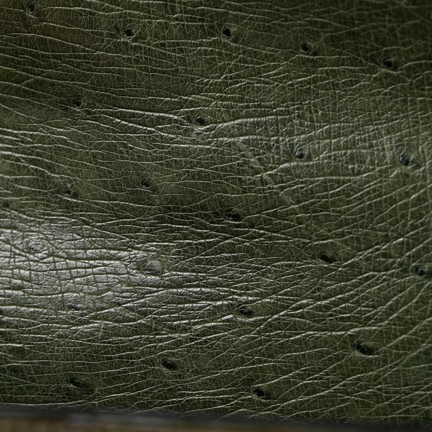 Ostrich Kelly Sellier 32 Vert Olive - Top Club