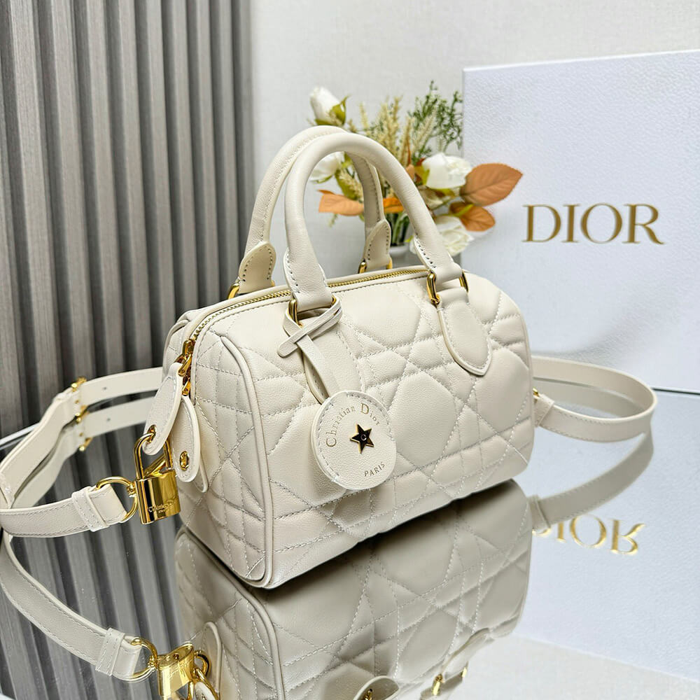 Dior Groove 20 Bag(HIGH-END GRADE) - Top Club