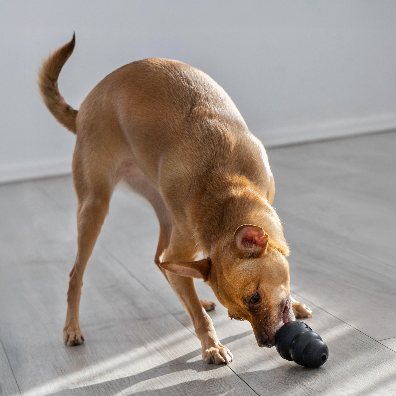 KONG Classic Dog Toy -Black